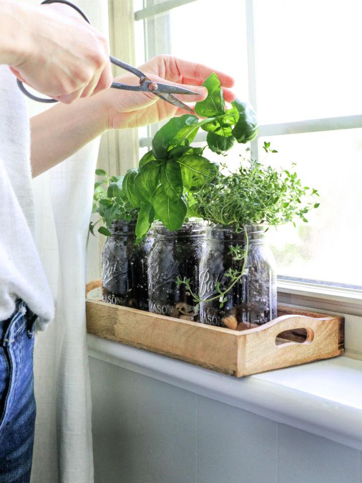 Cheap DIY Mason Jar Herb Garden