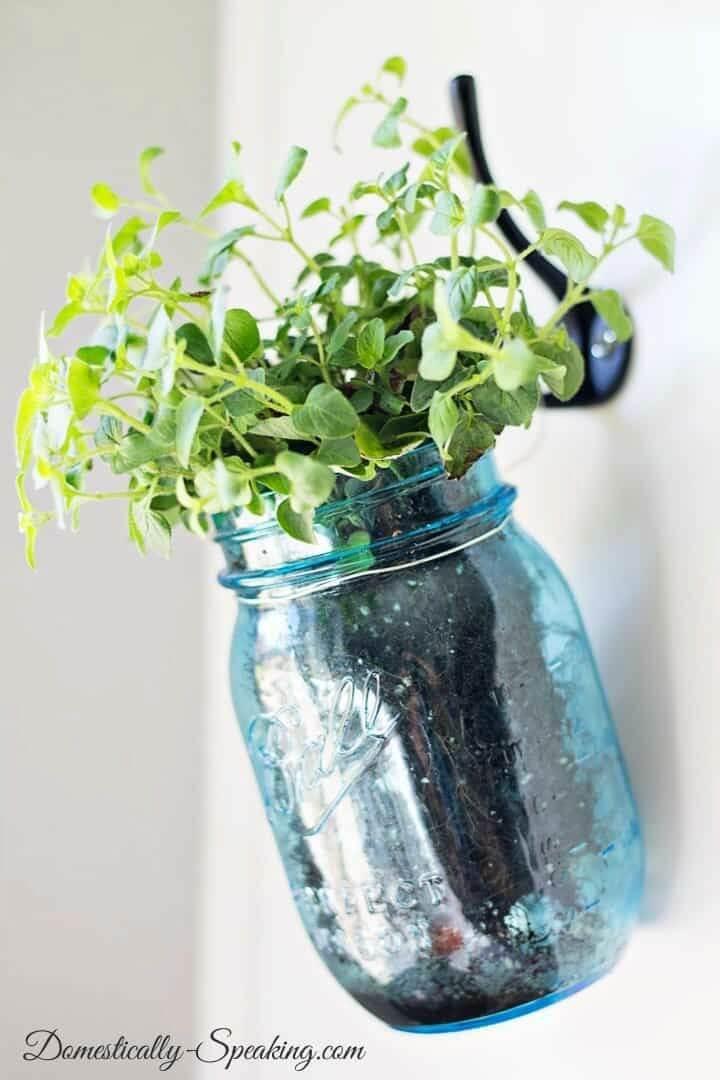 Beautiful DIY Hanging Mason Jar Herb