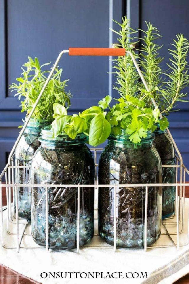 DIY Indoor Mason Jar Herb Garden for the Kitchen