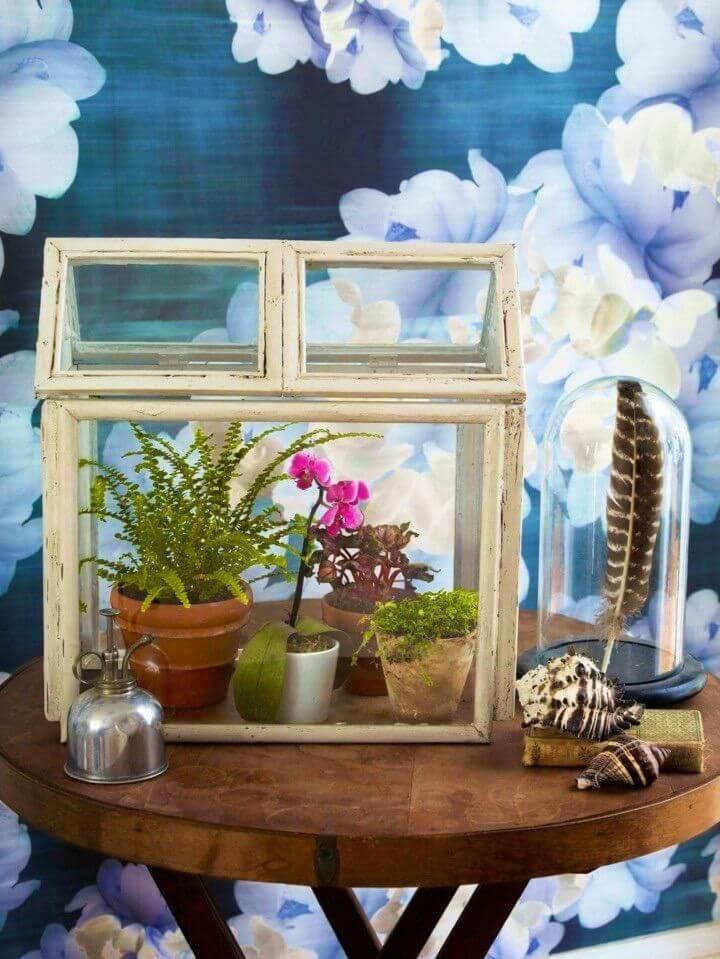 Cool DIY Old Picture Frames Terrarium