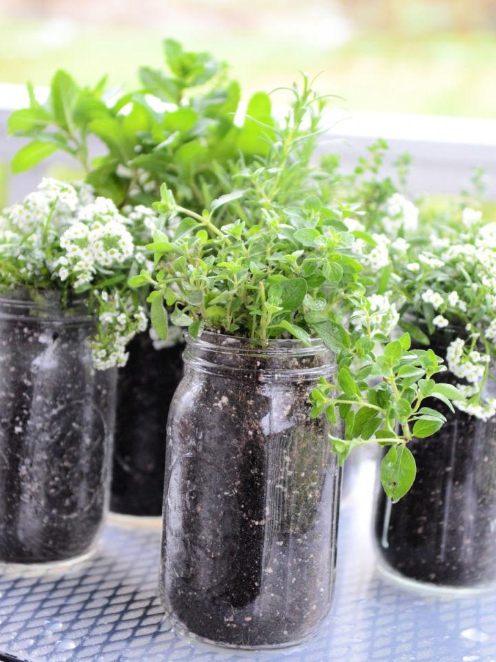 Make Your Own Mason Jar Herb Garden