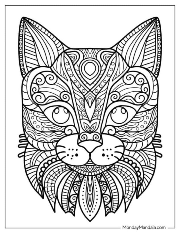 Cat Coloring Pages Free PDF Printables