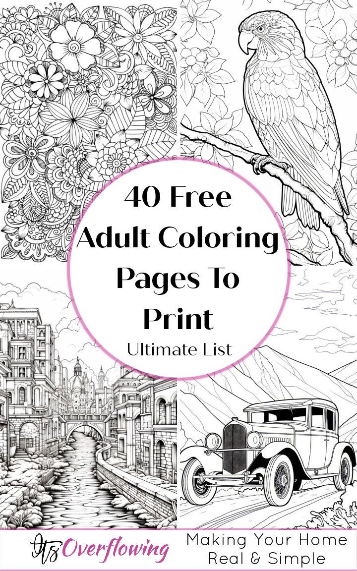 free adult coloring pages
