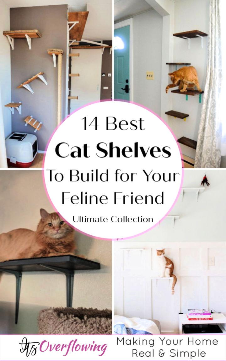 14 Best DIY Cat Shelves To Build for Your Feline Friend