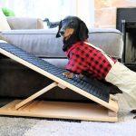 15 Free DIY Dog Ramp Plans For Bed, Car, Couch, Stairs