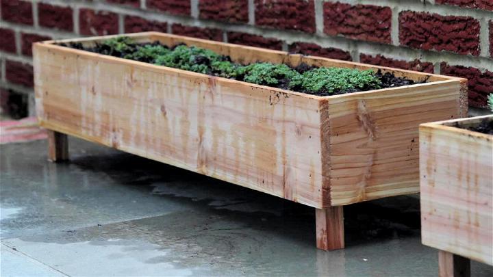 5 DIY Cedar Planter Tutorial