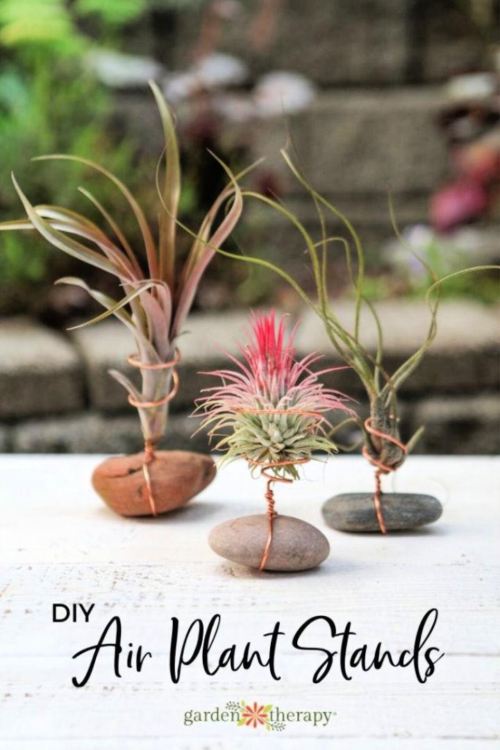 DIY Air Plant Holder With Rock and Wire
