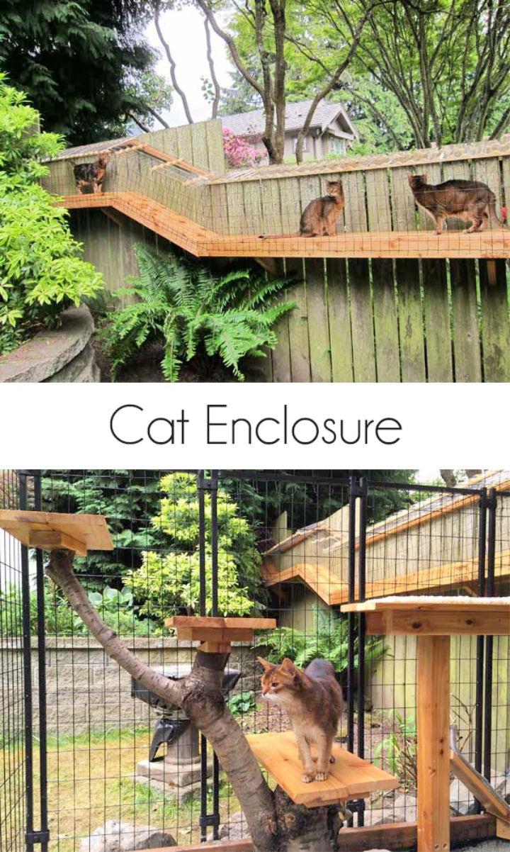Awesome Large Backyard Cat Enclosure