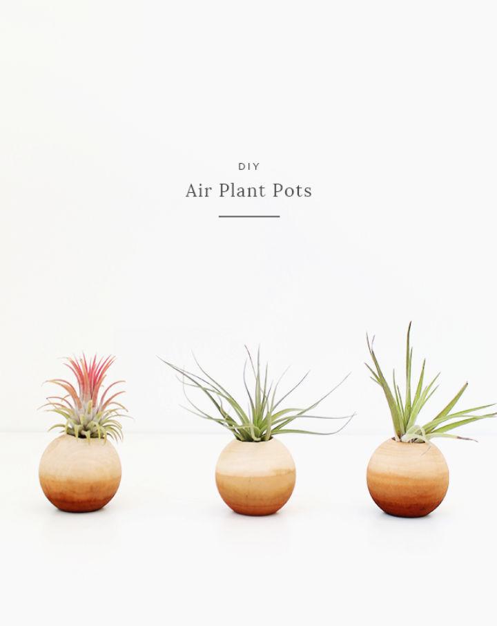 Best Way to Build Wooden Air Plant Pots