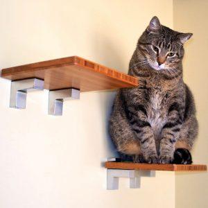Best DIY Cat Shelves To Build for Your Feline Friend