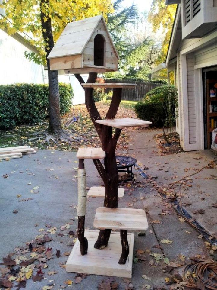 Best Outdoor Cat Tree