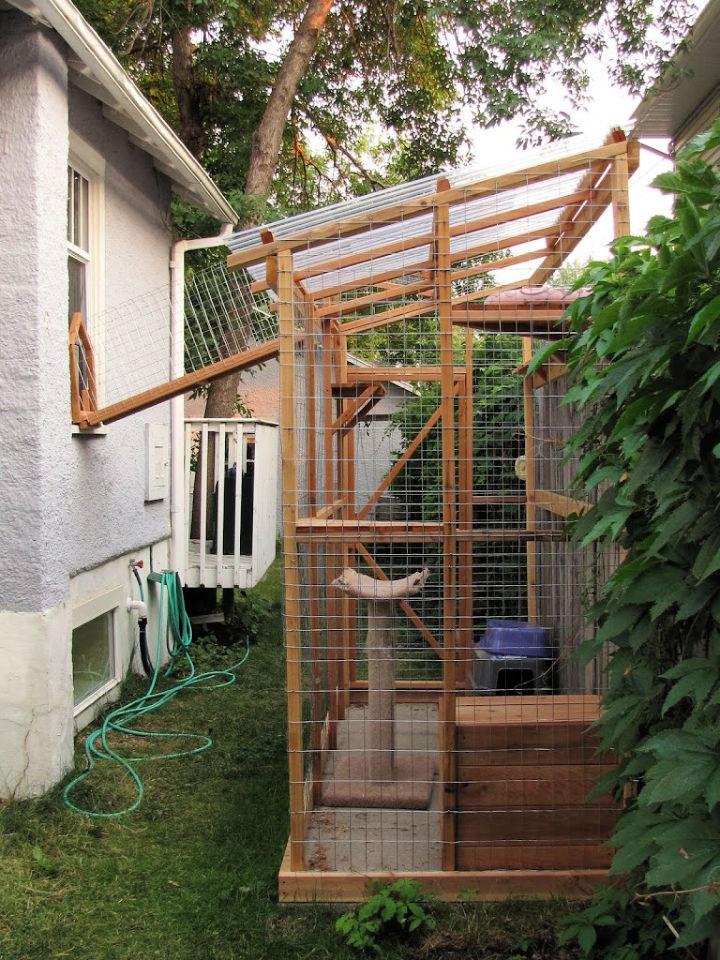 Best Outside Cat Enclosure