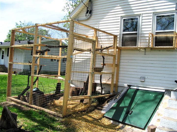 Building Your Own Catio