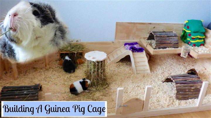 Build Your Own Wooden Guinea Pig Cage