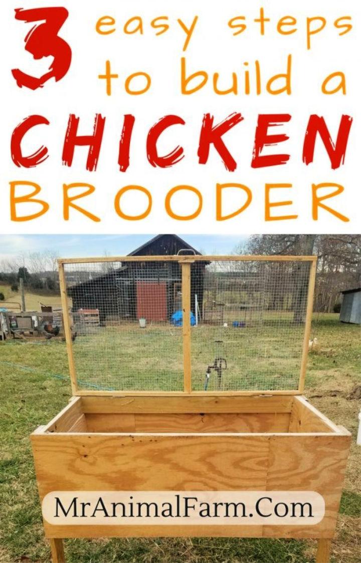 Build a Chicken Brooder in 3 Steps