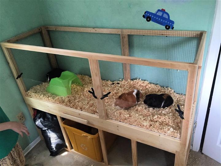 Build a Guinea Pig Cage Tutorial