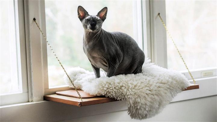 Building Martha Stewarts Cat Window Perch