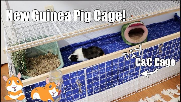 20 Homemade DIY Guinea Pig Cage Ideas