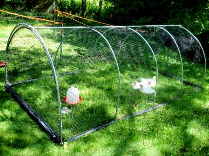 Building a PVC Pipe Chicken Tractor