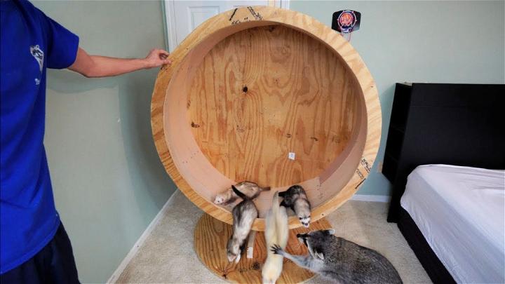 Building a Pet Raccoon Running Wheel