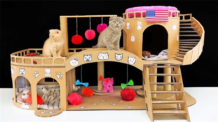 Cat House for Two Beautiful Kittens