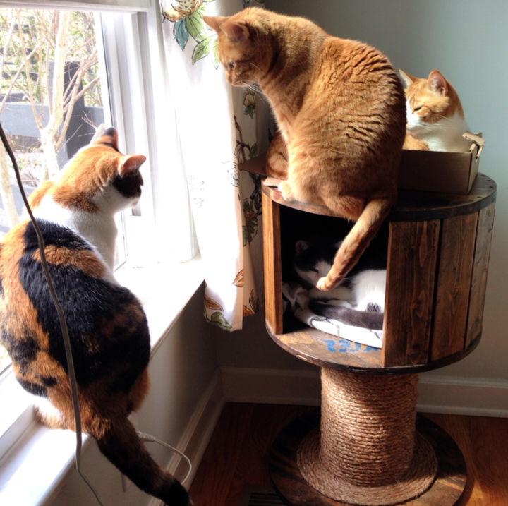 DIY Cat Tree House and Scratching Post