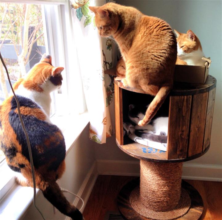 Cat Tree House and Scratching Post