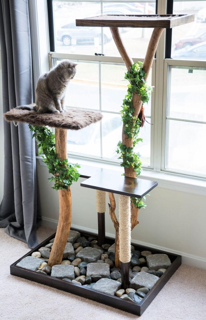 Cat Tree Using a Real Tree
