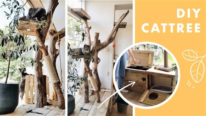 Cat Tree with A Built In Litterbox Using Branches