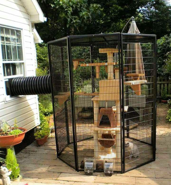 Make Your Own Catio for Kitty