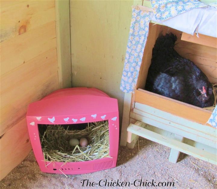 Chick TV Nest Box Solution