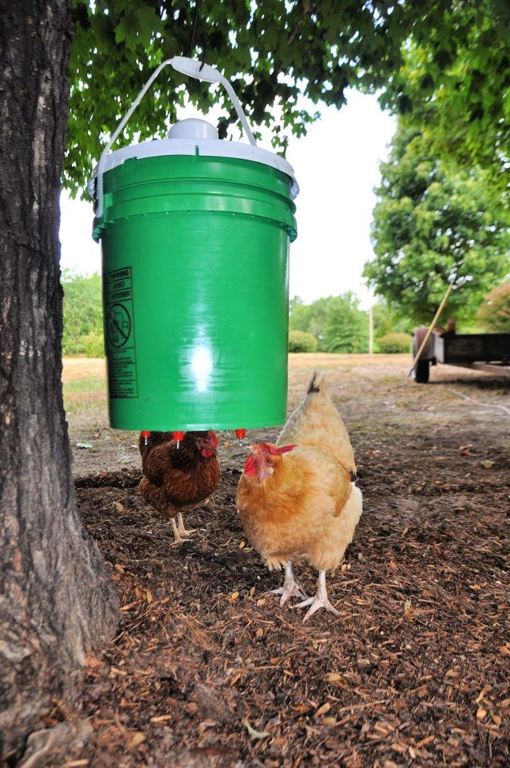 Chicken Waterer Using 5 Gallon Bucket