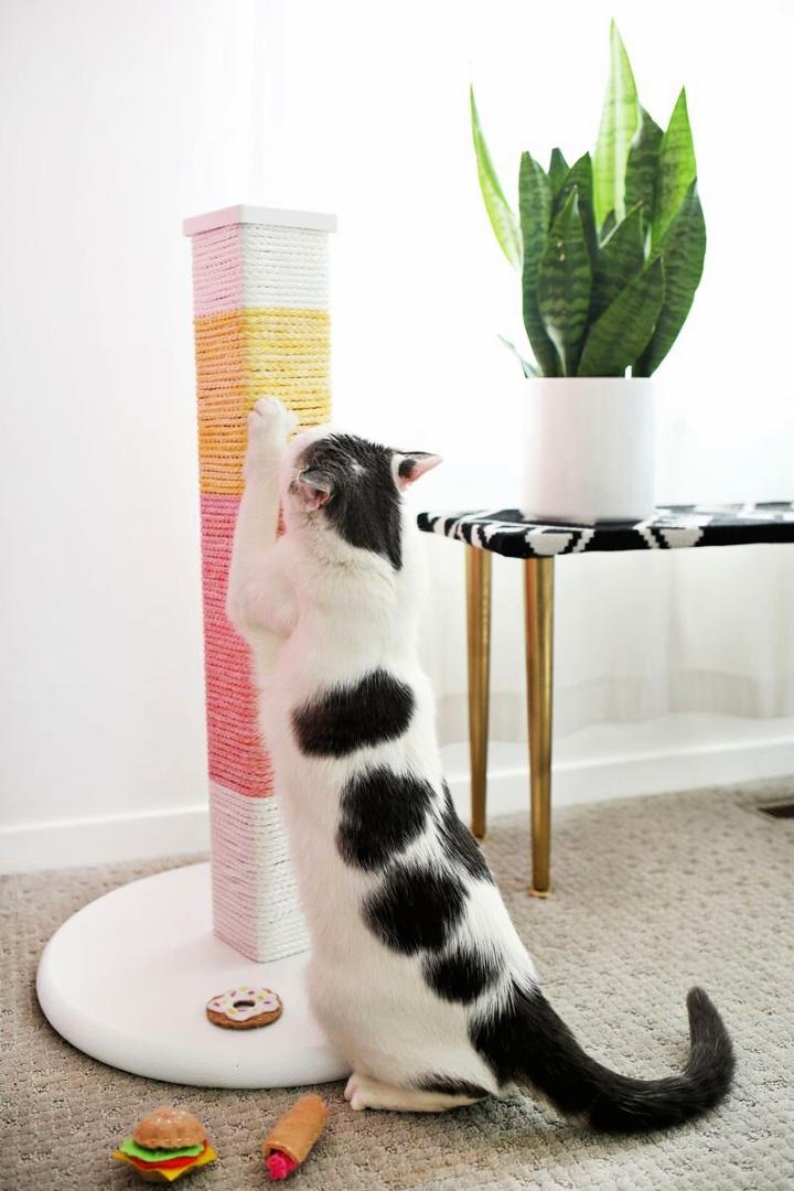 DIY Colorblocked Scratching Post