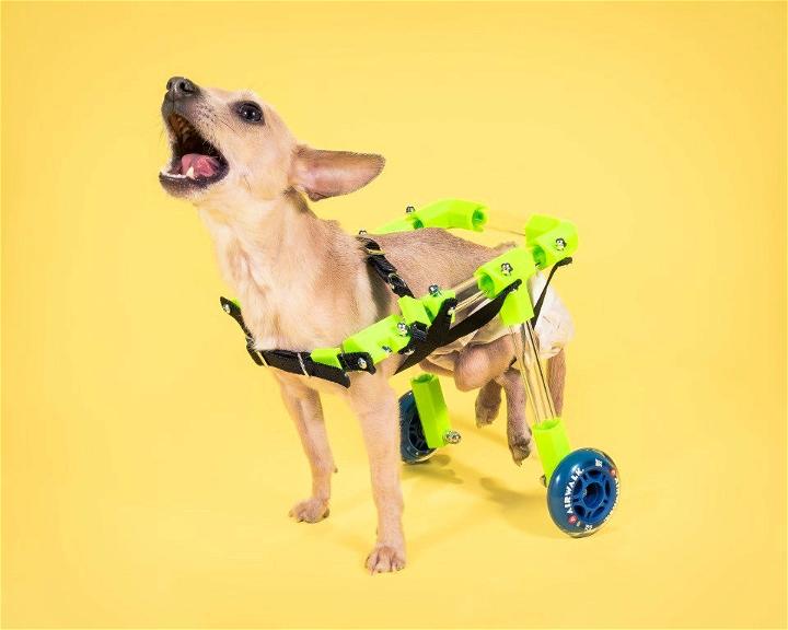 Custom DIY Canine Dog Wheelchair