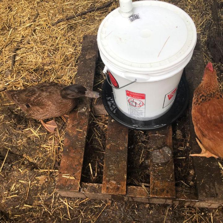 DIY 5 Gallon Chicken Waterer at Home 