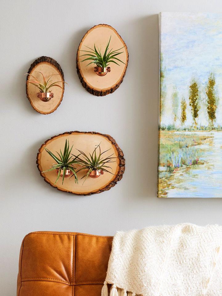 Beautiful DIY Air Plant Holder