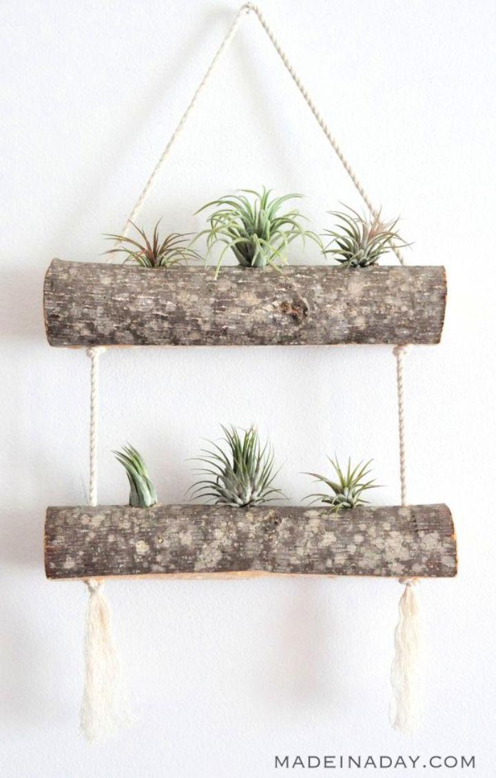 Cheap DIY Birch Air Plant Hanger