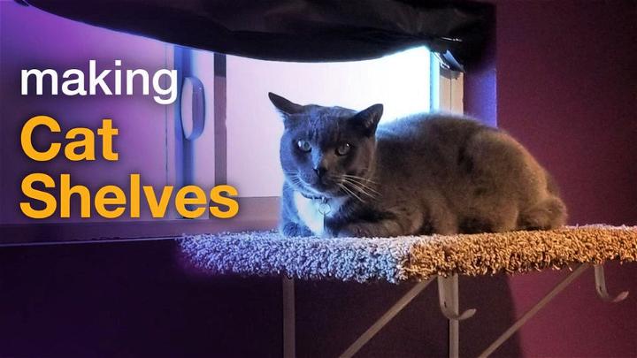 DIY Cat Shelves In 8 Steps