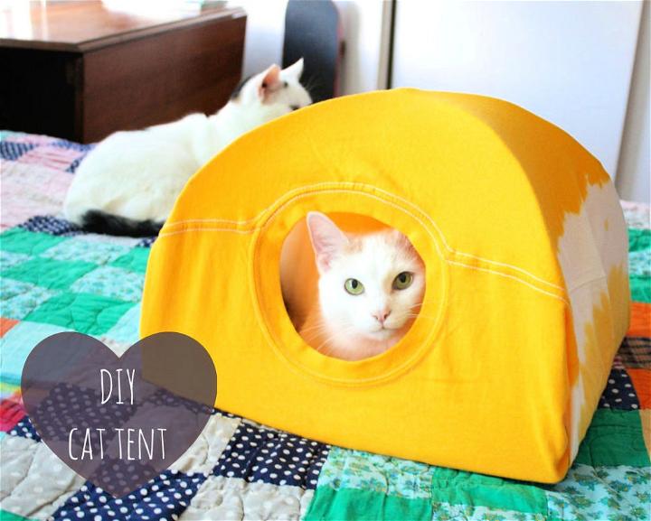 How to Do You Make a Cat Tent