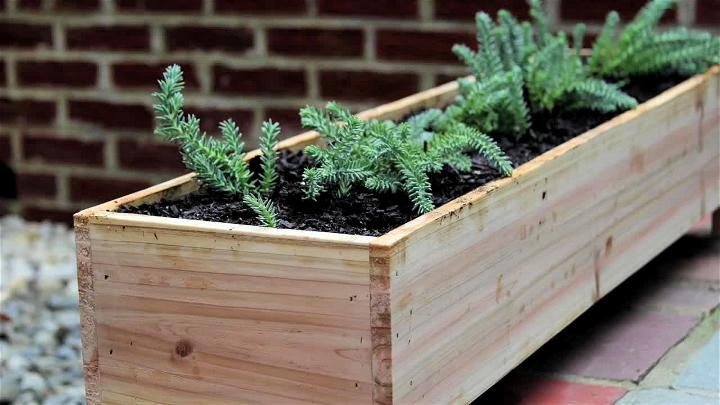 DIY Cedar Planter Box