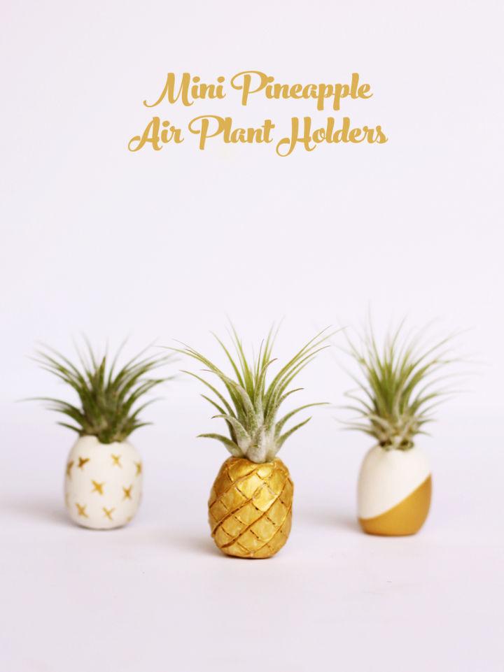 How to Make a Clay Air Plant Holder