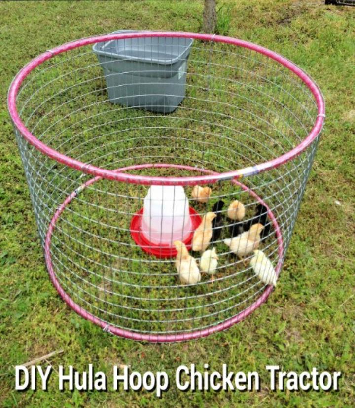 DIY Hula Hoop Chicken Tractor