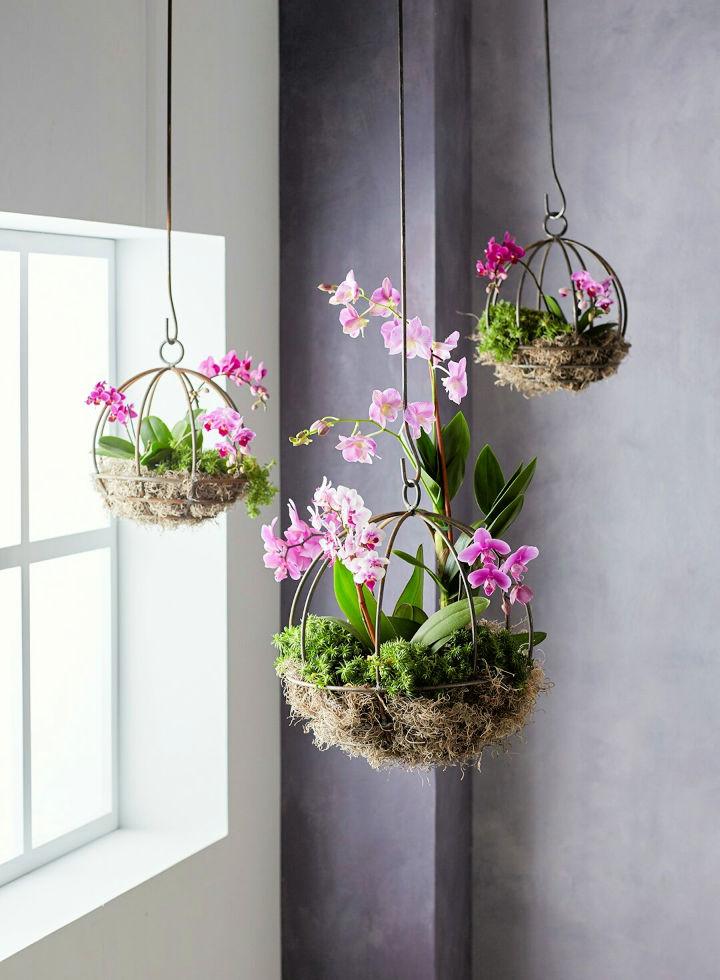DIY Indoor Hanging Plant Holders