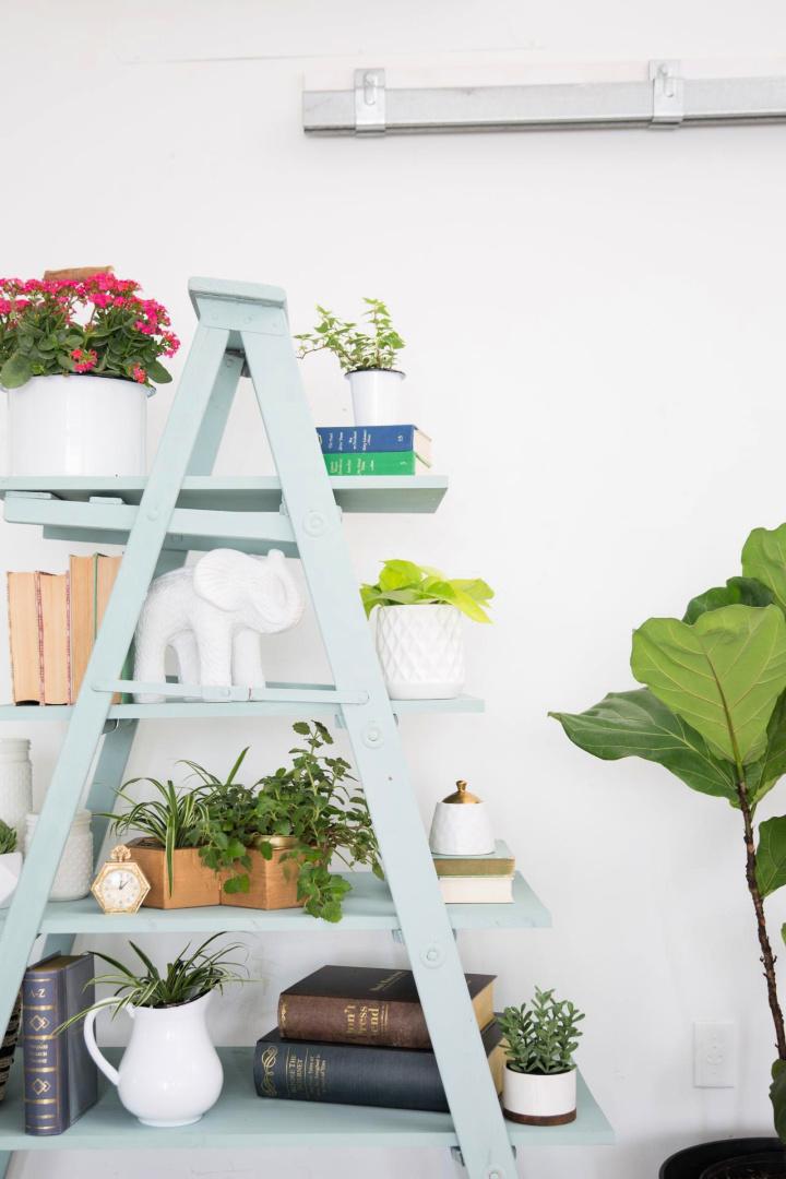 How to Make a Ladder Shelf