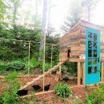 25 Free Pallet Chicken Coop Plans (Step by Step Guide)