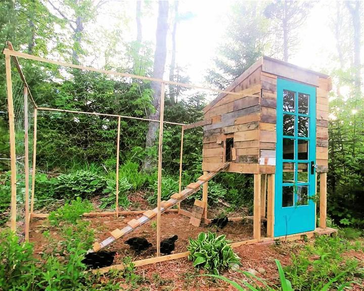 Pallet Chicken Coop Plans To Save Your Money Free Guide