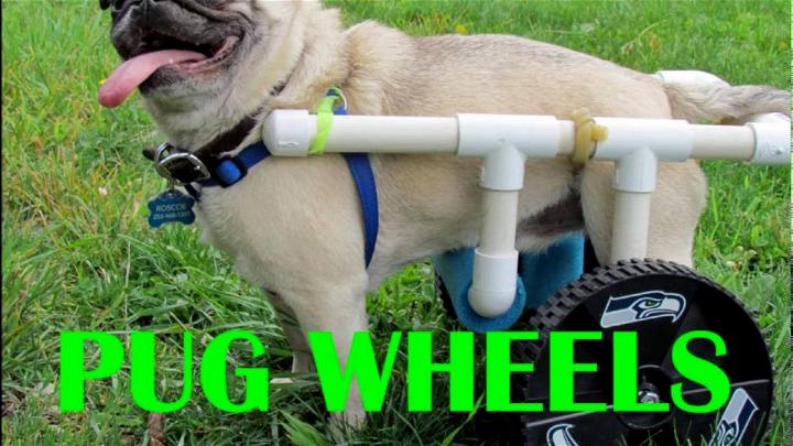 Incredible DIY Pug Wheelchair 