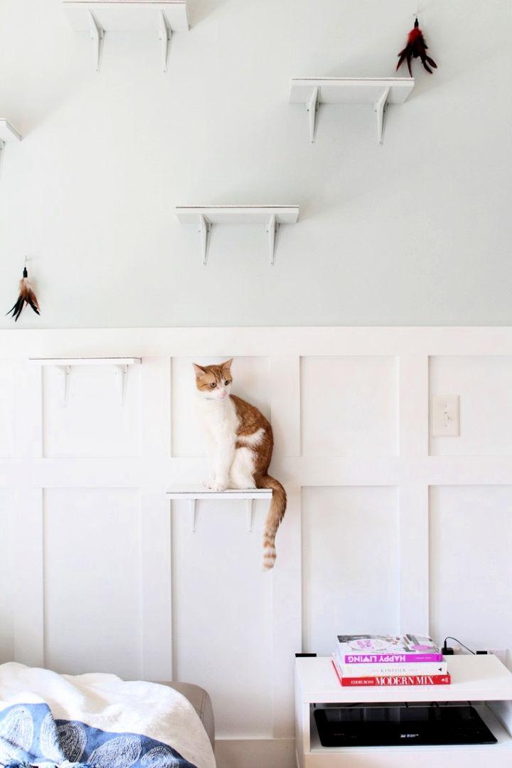 DIY Shelves for Your Cats
