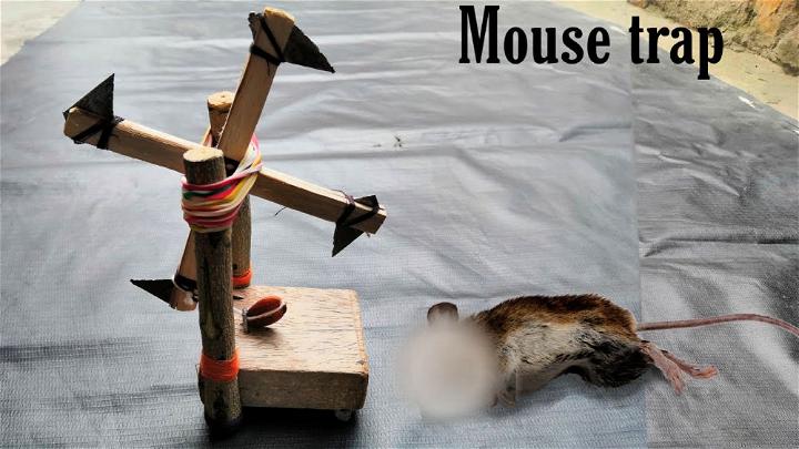 DIY Wooden Mouse Trap