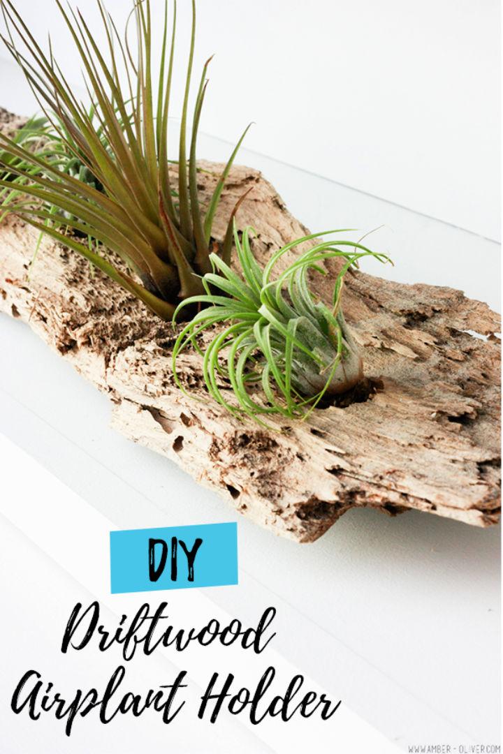 Build Your Own Driftwood Air Plant Holder